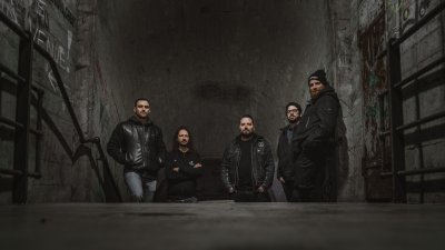Among Vultures